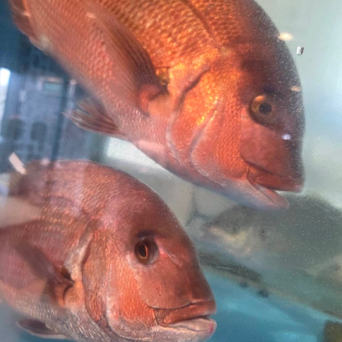 Instagram CAROUSEL_ALBUM 1